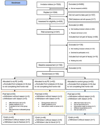 Digital Technology to Deliver a Lifestyle-Integrated Exercise Intervention in Young Seniors—The PreventIT Feasibility Randomized Controlled Trial